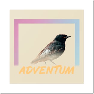 Bird Posters and Art